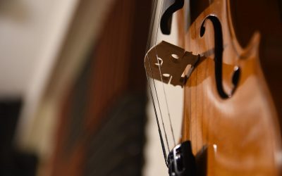 Khoá học Violin trực tiếp
