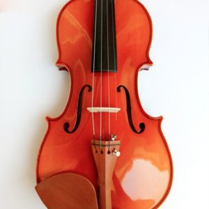 Đàn violin hubert