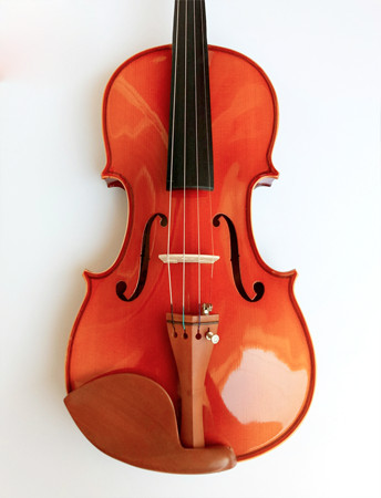 Đàn violin Giá rẻ cho người mới học