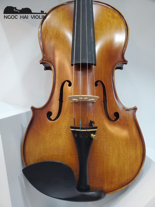 Đàn Violin Amati