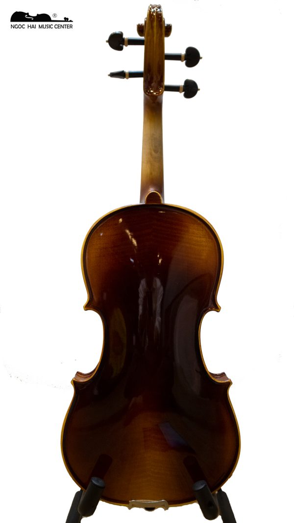 Đàn violin bevis nâu