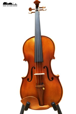 đàn violin raymond