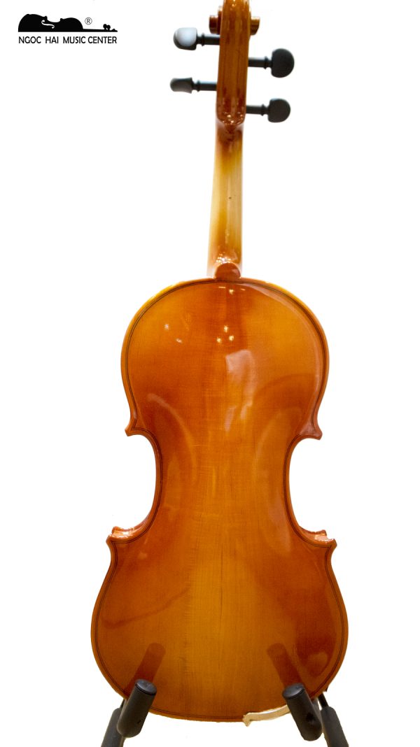 đàn violin nhmc1