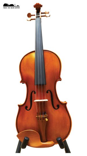đàn violin raymond