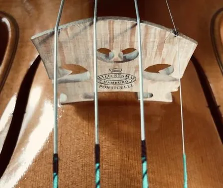 Ngựa đàn (bridge) violin