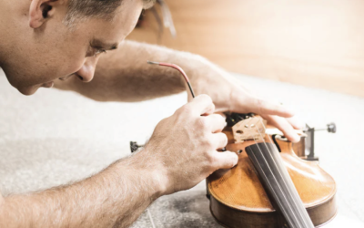 Đàn violin được làm từ gì? Cấu tạo đàn violin ra sao?
