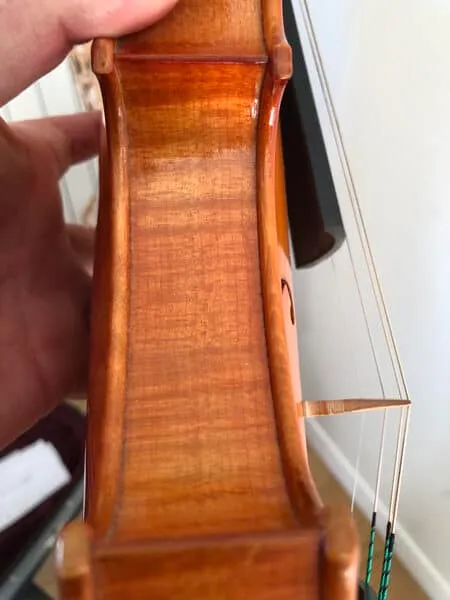 Phần sườn đàn (Ribs) violin